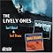 Surf's Up!  Instrumentals To Surf By