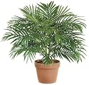 22 Inch Parlor Palm Bush Green - Qty of 6