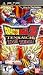 Dragon Ball Z: Tenkaichi Tag Team PSP