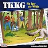 Bild des Albums von TKKG