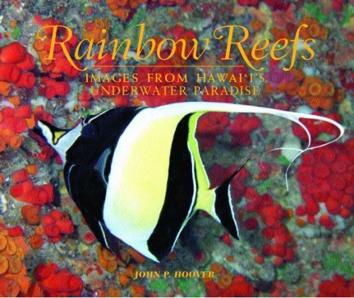 Underwater Photography