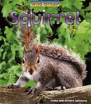 Wild Britain: Squirrel : Squirrel (Wild Britain): Squirrel (Wild Britain)