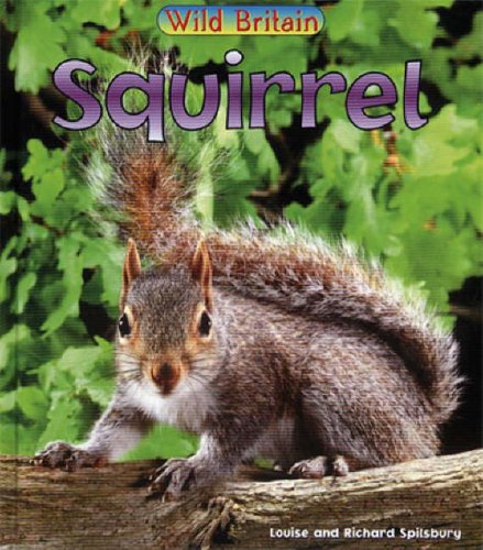 Wild Britain: Squirrel : Squirrel (Wild Britain)