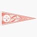 5 Pittsburgh Steelers Pink NFL Wholesale Team Pennants