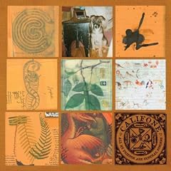 All My Friends Are Funeral Singers [Vinyl LP]