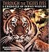 Through the Tiger's Eyes