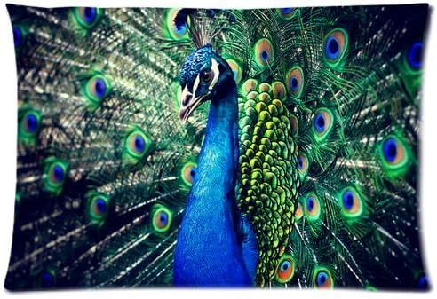 Beautiful Peacock Design Rectangle Custom Personalized Zippered Decorative Soft Pillow Cases Cover 20"x30" (Twin sides)