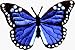 Beautiful Blue Monarch Butterfly - Embroidered Iron on or Sew On Patch