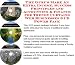 Search : The Guru's Make An Extra Income, Success Principles and Accounting & Finance for Trendy Curtains Web Businesses 3 CD Power Pack