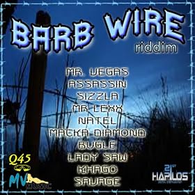 Barb Wire