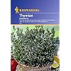 Thymian mehrj�hrig