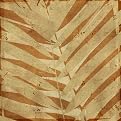 Palm Fossil II - 16 X 16"