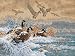 Dimensions Counted Cross Stitch, Winter Retreat