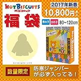 mikihouse HOTBISCUITS（ミキハウスホットビスケッツ）1万円福袋2017年新春福袋(80cm～120cm) １２０ｃｍ,女の子