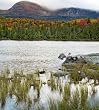 Fall at Sandy Stream Pond, Baxter State Park, Maine - Pretty 16x20 Photographic Print by Brendan Reals