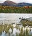 Fall at Sandy Stream Pond, Baxter State Park, Maine - Pretty 16x20 Photographic Print by Brendan Reals