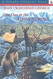 One Day in the Alpine Tundra