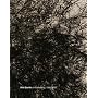 Kiki Smith