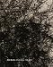 Books : Kiki Smith: A Gathering, 1980-2005
