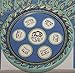 Passover Disposable Plates Blue Seder Plate Design 7 inch (Pack of 8)