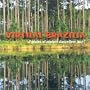 Virtual Brazilia