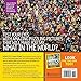 What in the World: Look Again: Fun-tastic Photo Puzzles for Curious Minds (National Geographic Kids)