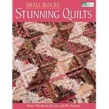 Small Blocks, Stunning Quiltspar Biz Storms