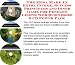 The Best Earn More Money, Marketing and Inner Game for Pendant Lights Internet Businesses 3 CD Power Pack