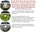 The Secret Earn More Money, Inner Game and Accounting & Finance for Semaphore Flags On-line Businesses 3 CD Power Pack