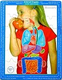 Human Body Science Wooden Puzzle