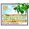teach a unit on plants