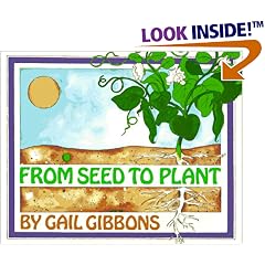 From Seed to Plant