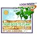 From Seed to Plant