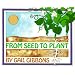 From Seed to Plant