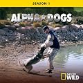 Alpha Dogs: Call of Duty