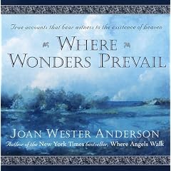 Where Wonders Prevail: True Accounts That Bear Witness to the Existence of Heaven