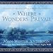 Where Wonders Prevail: True Accounts That Bear Witness to the Existence of Heaven
