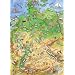 Ravensburger 12603 - Mauseschlau & B�renstark: Einmal quer durch Deutschland - 200 Teile XXL Puzzle