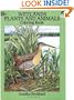 Wetlands Plants and Animals Coloring Book (Dover Nature Coloring Book)