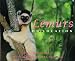 Search : Lemurs: On Location (On Location Series)
