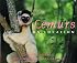 Lemurs: On Location (On Location Series)