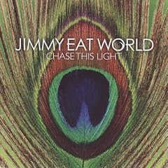 Chase This Light