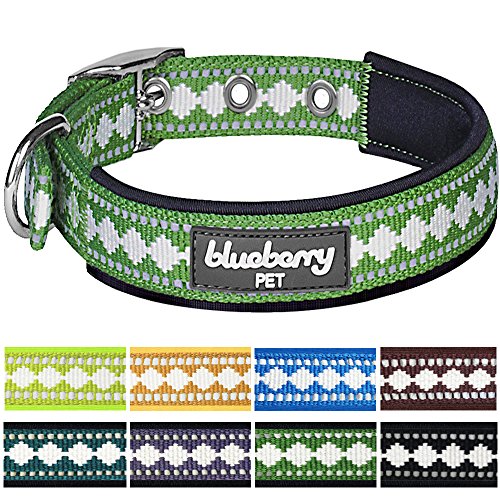Blueberry Pet Classic Solid 5/8" Small Neoprene Padded Dog Collar in Moss Green with Jacquard Pattern