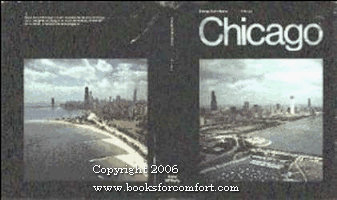 Chicago Public Works: A History Chicago