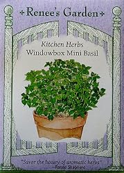 Basil Windowbox Mini Seeds 600 Seeds