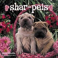 Shar-Peis 2001 Calendar