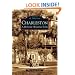 Charleston: A Historic Walking Tour (Images of America)