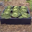 Large Raised Bed Set of 2