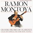 Grandes Figures du Flamenco, Vol. 5