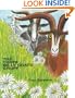 The Three Billy Goats Gruff